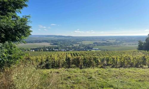Photo de Brimont