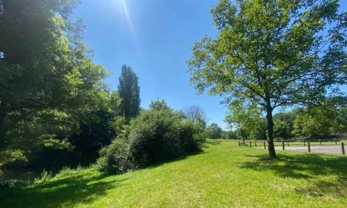 Photo de Bruailles