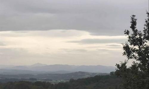 Photo de Burgaronne