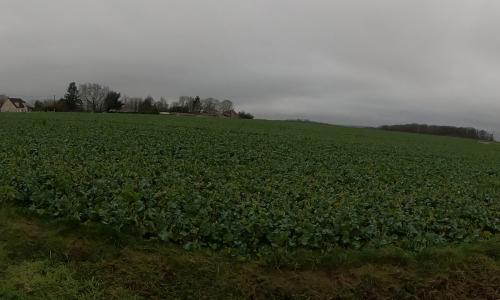 Photo de Bussy-le-Repos