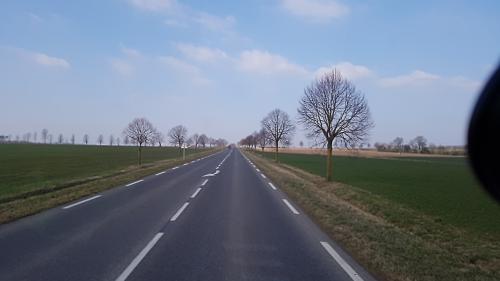 Photo de Bust