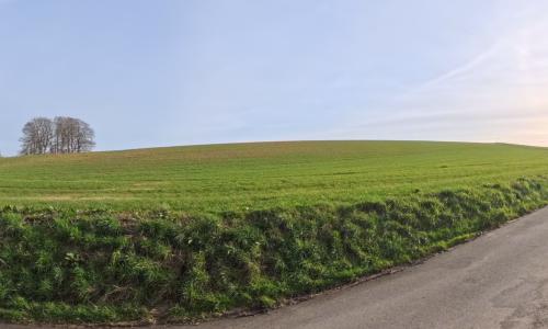 Photo de Cailleville