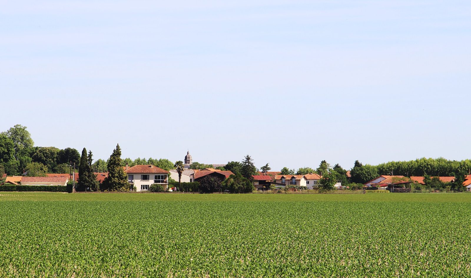 Photo de Camalès