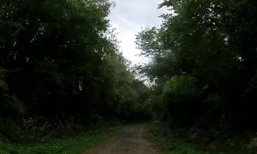 Photo de Cambernon