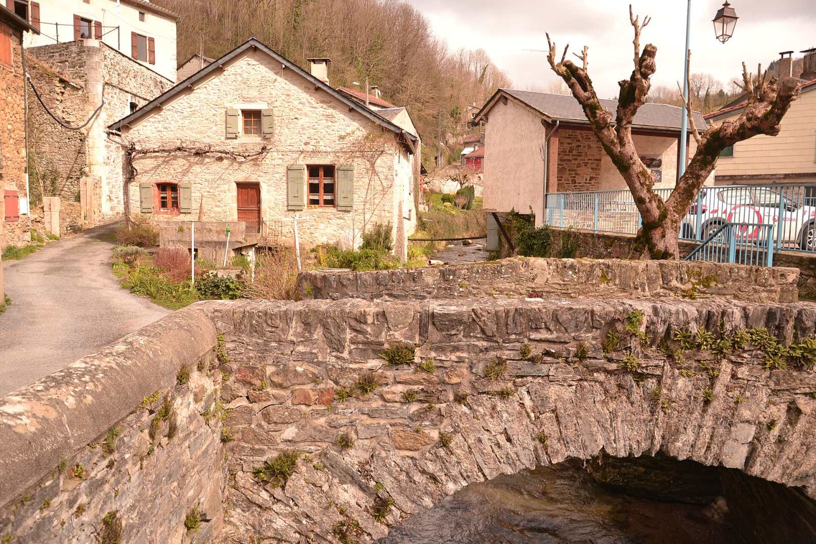 Photo de Cambounès