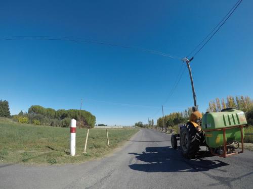 Photo de Camélas