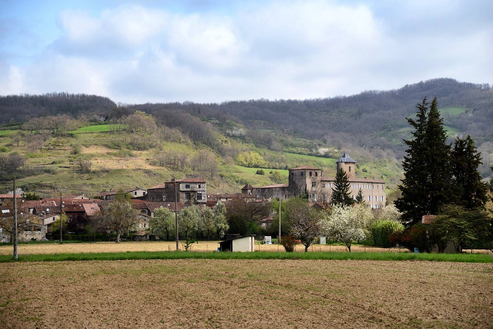 Photo de Camon