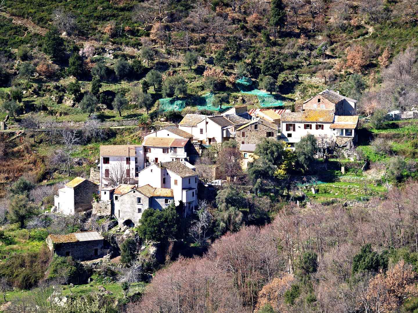 Photo de Campitello