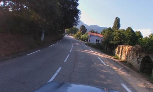 Photo de Cardo-Torgia