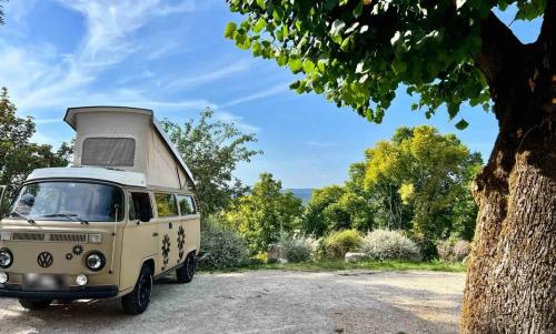 Photo de Castelnau-de-Montmiral