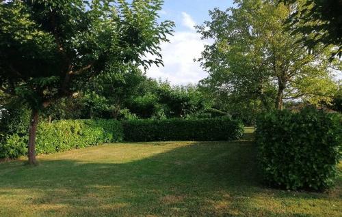 Photo de Castelnau-Picampeau