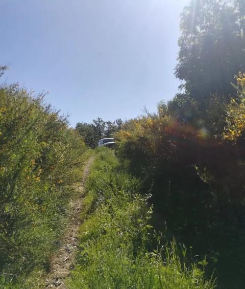Photo de Caunette-sur-Lauquet