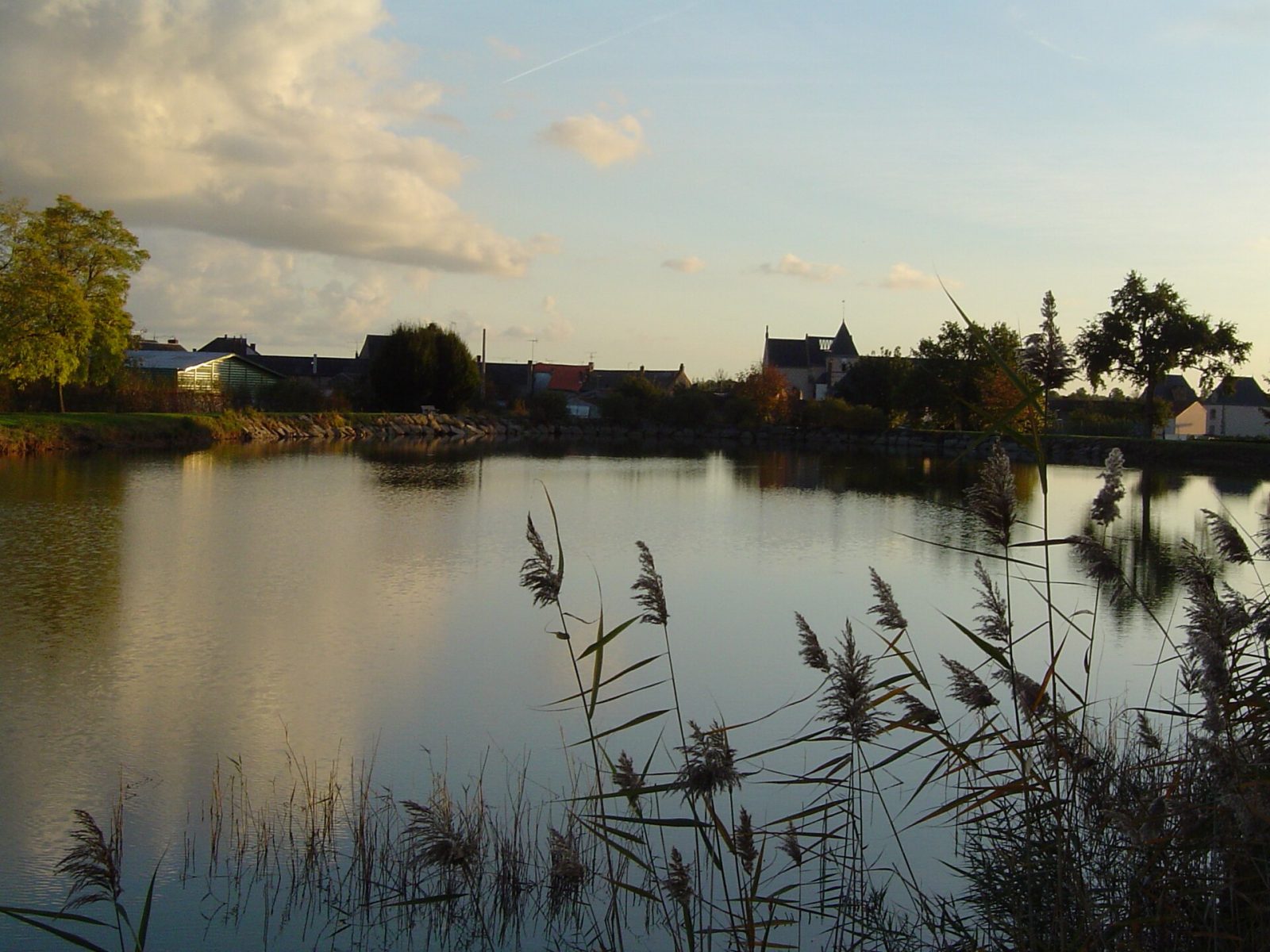 Photo de Cerqueux