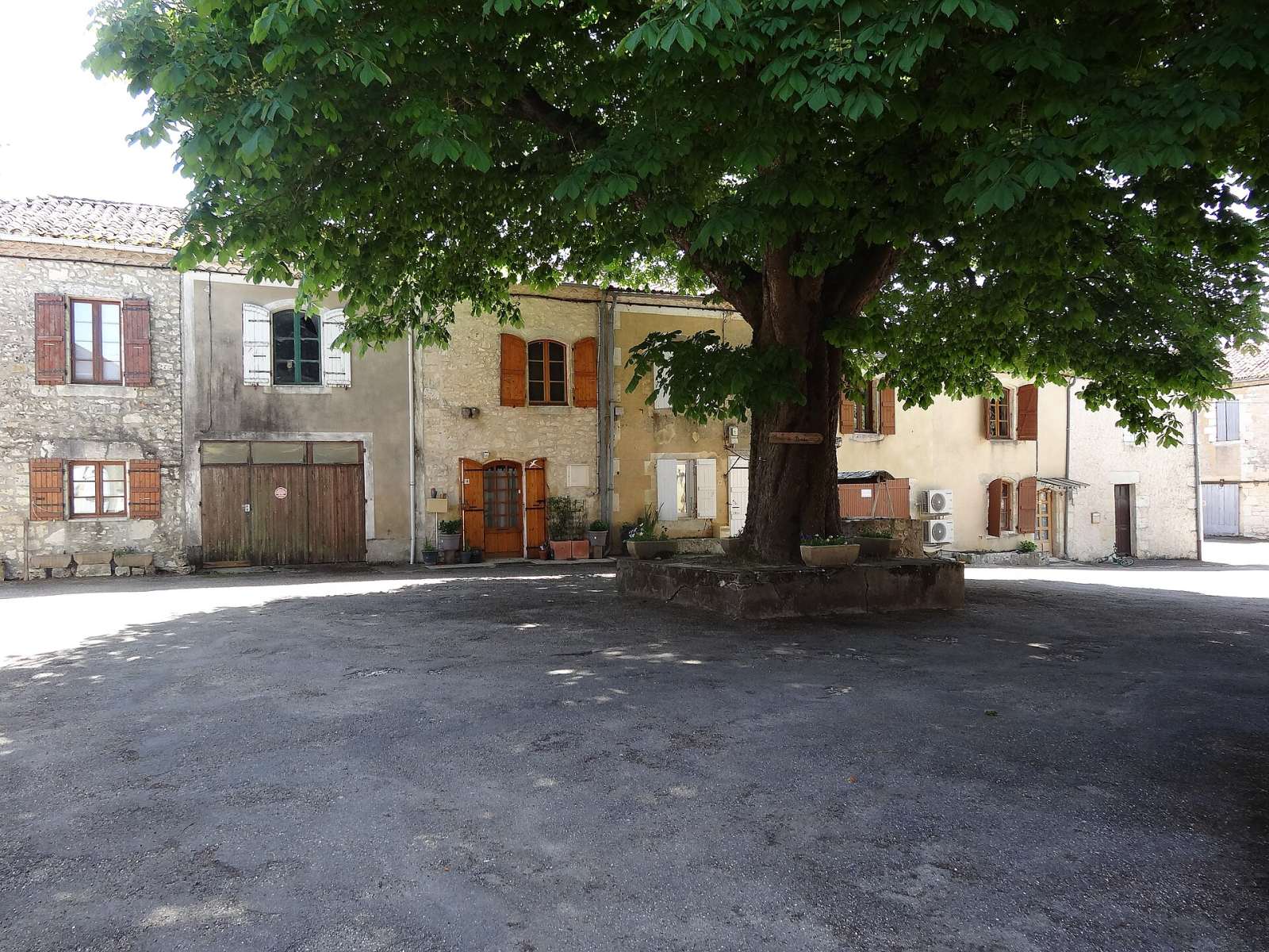 Photo de Cézan