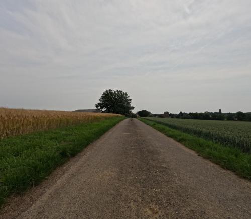 Photo de Champtonnay