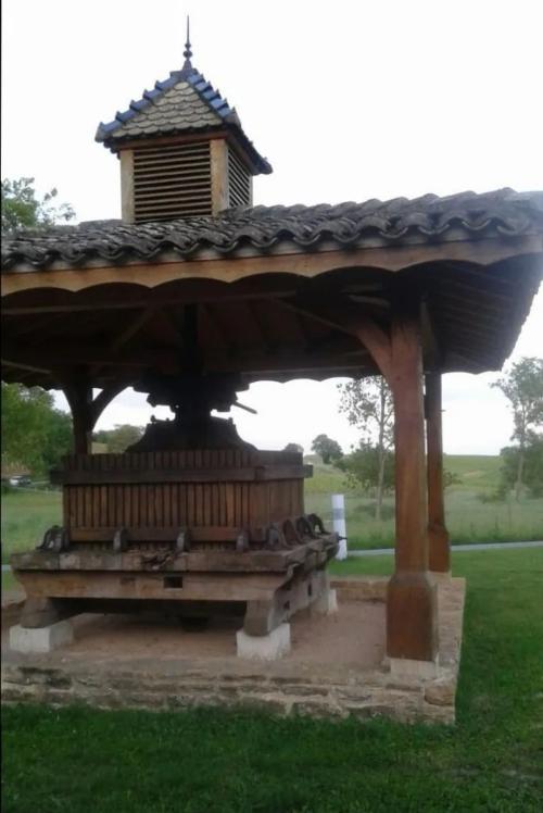 Photo de Chânes