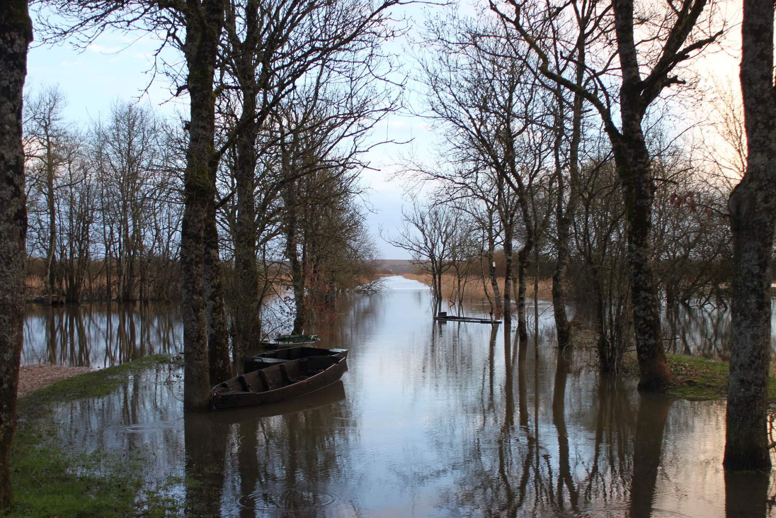 Photo de La Chapelle-Heulin