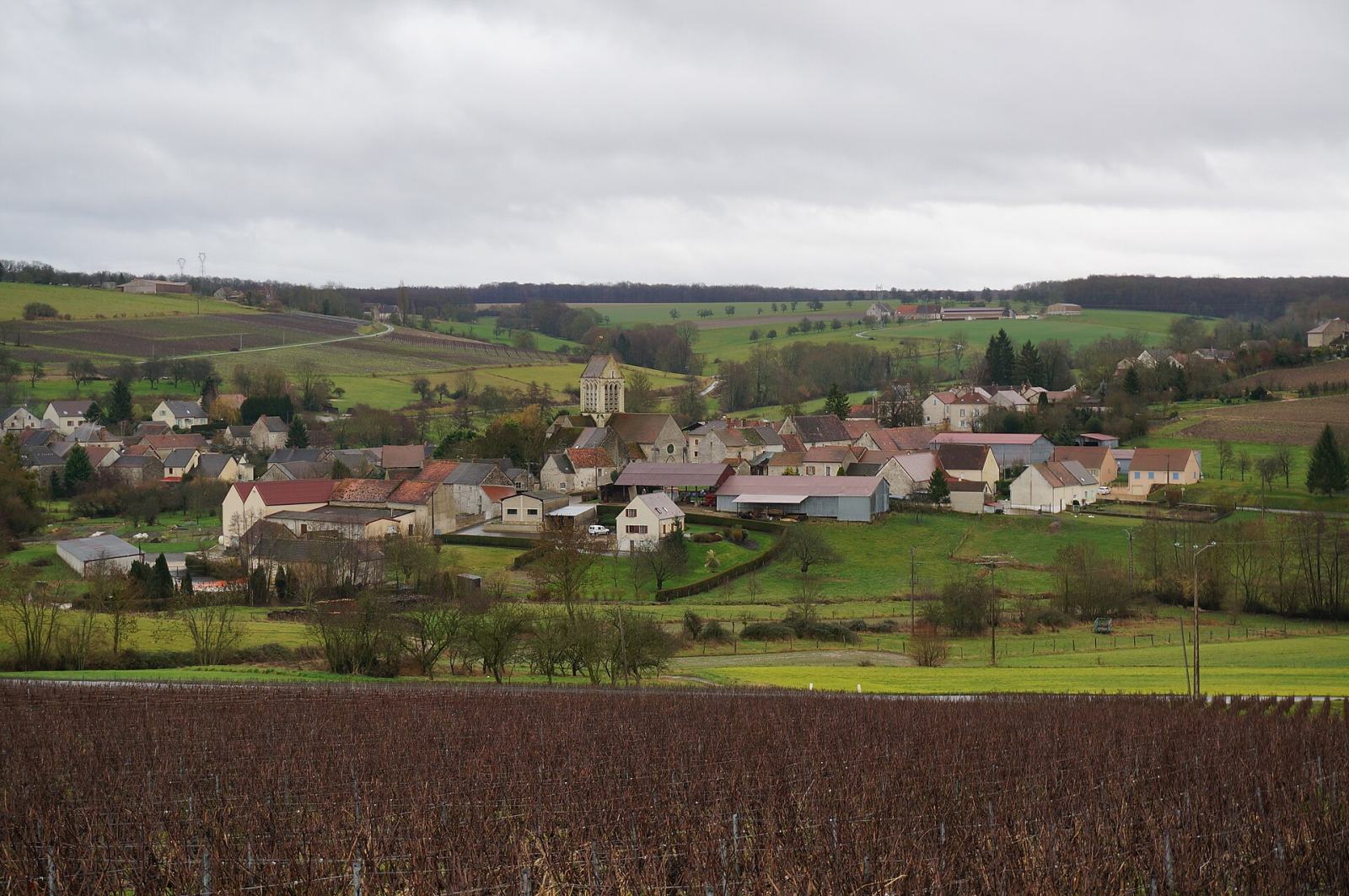 Photo de La Chapelle-Monthodon
