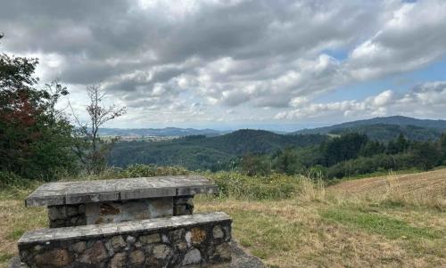 Photo de La Chapelle-sur-Usson