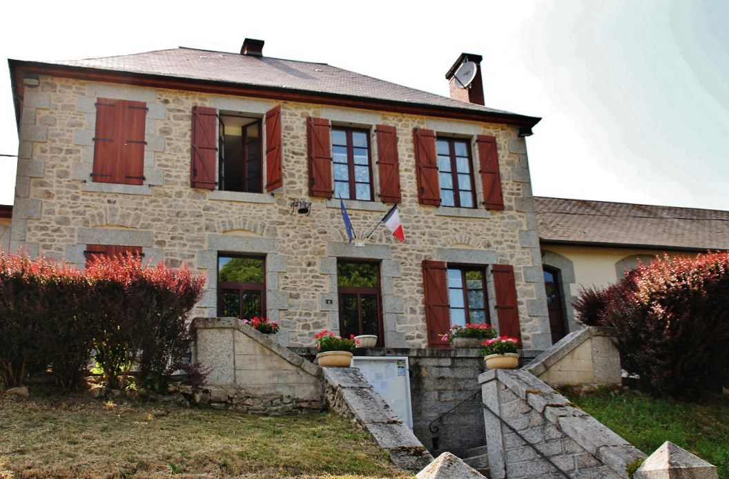 Photo de Chard