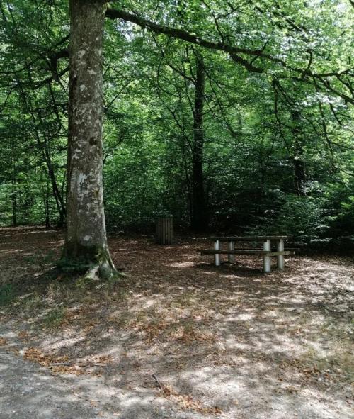 Photo de Charmois-devant-Bruyères