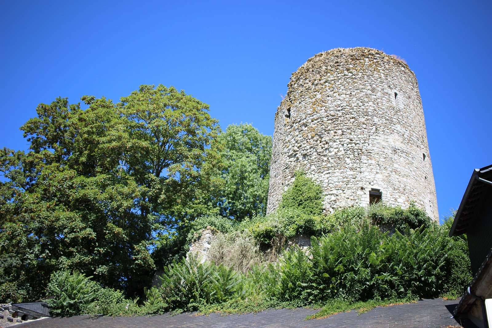 Photo de Château-Renault