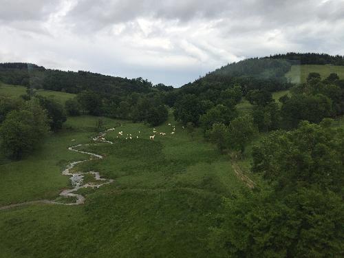 Photo de Châtelus