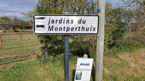 Photo de Chemilli