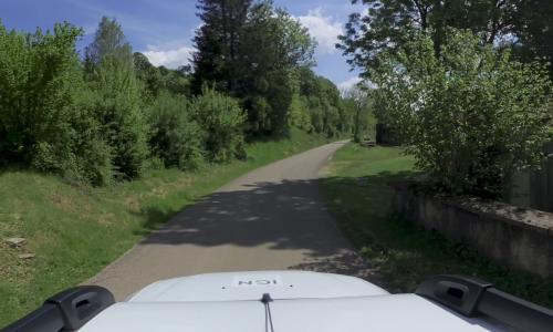 Photo de Chevrotaine