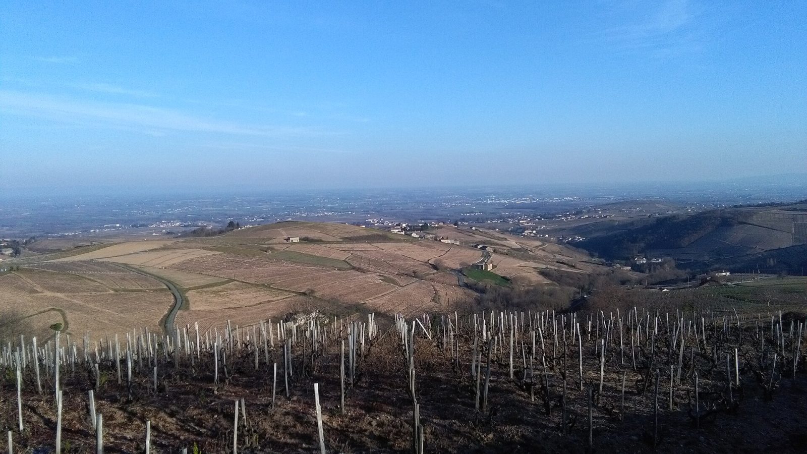 Photo de Chiroubles