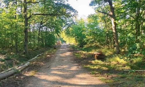 Photo de Clayes-sous-Bois