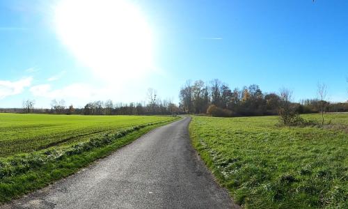 Photo de Cloyes-sur-Marne