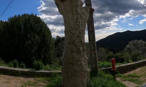 Photo de Cognocoli-Monticchi