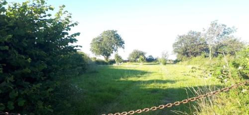 Photo de Collonge-en-Charollais