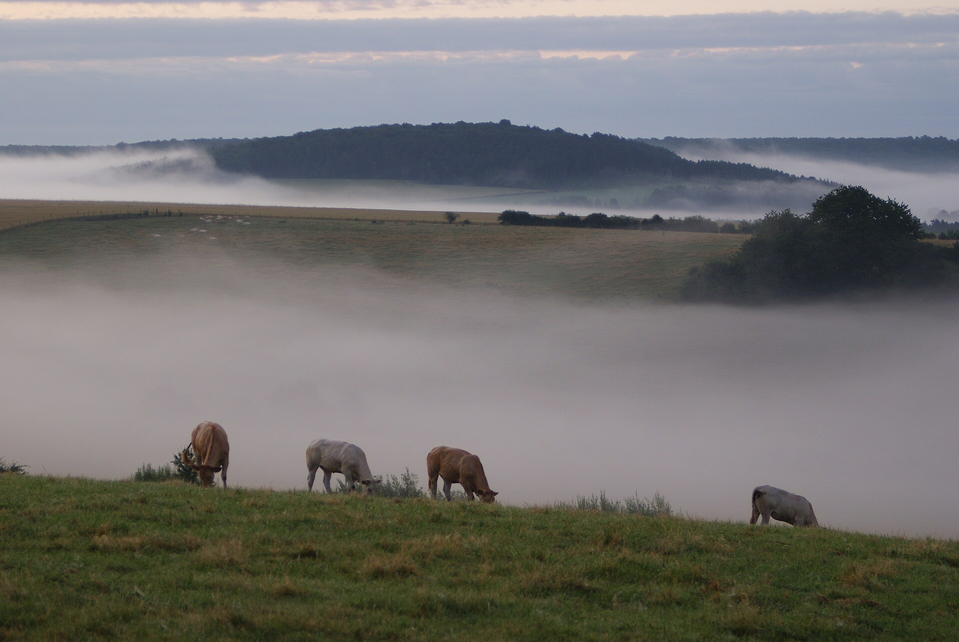 Photo de Colmier-le-Bas
