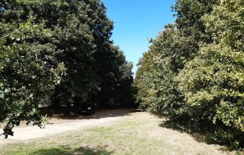 Photo de Combourtillé