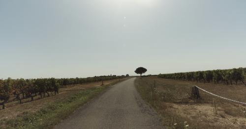 Photo de Concourson-sur-Layon