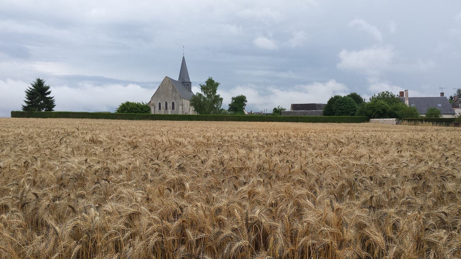 Photo de Conie-Molitard
