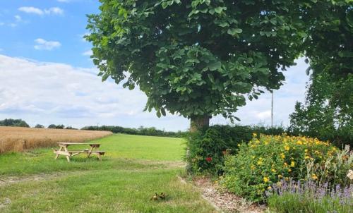 Photo de Contreuve