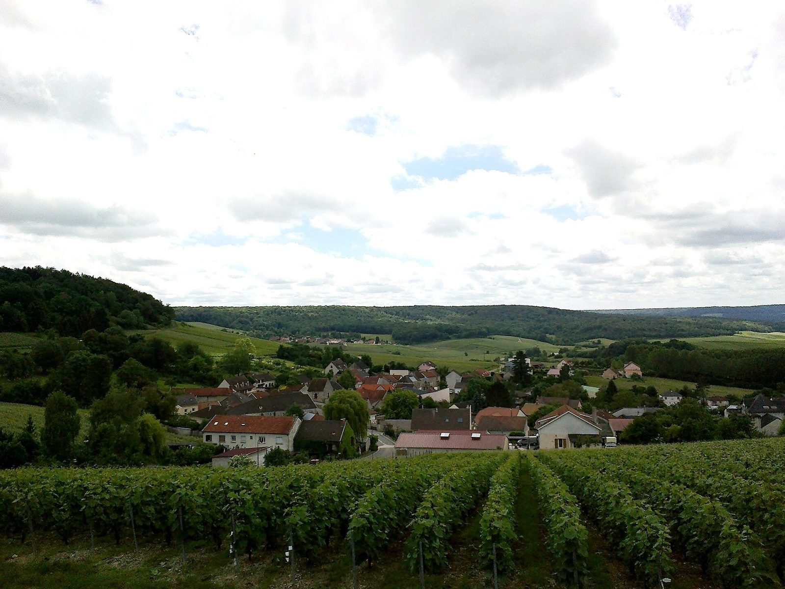 Photo de Cormoyeux