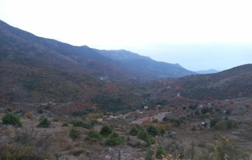 Photo de Corscia