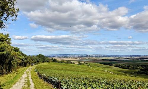 Photo de Coulommes-la-Montagne