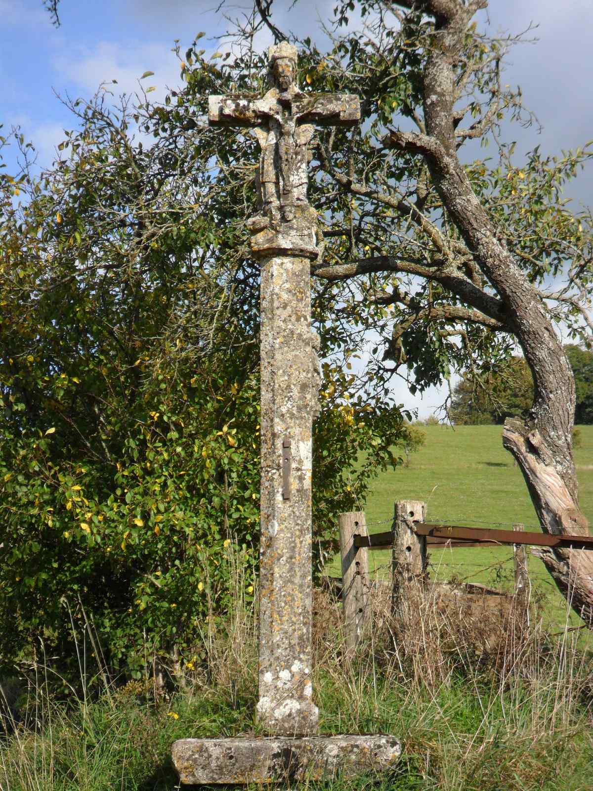Photo de Courcelles-sous-Châtenois