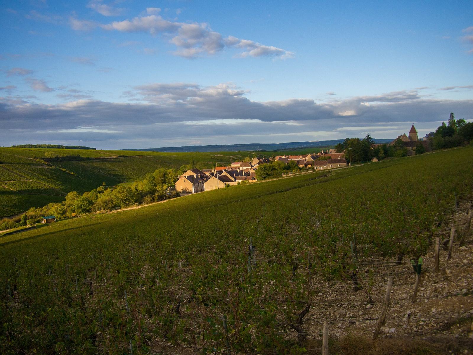 Photo de Courgis