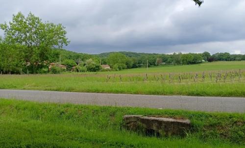 Photo de Coussa