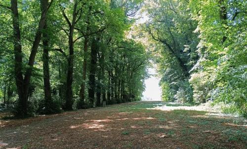 Photo de Couvron-et-Aumencourt
