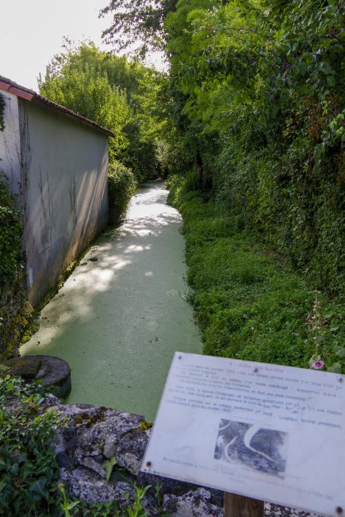 Photo de La Crèche