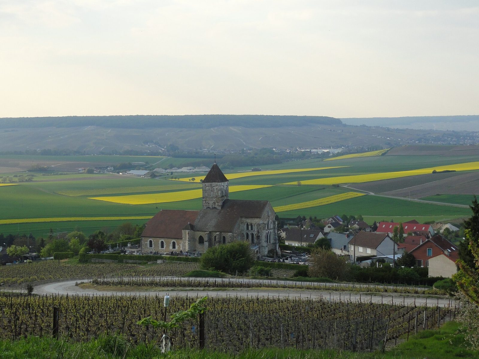 Photo de Cuis