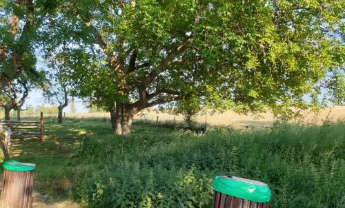 Photo de Darney-aux-Chênes