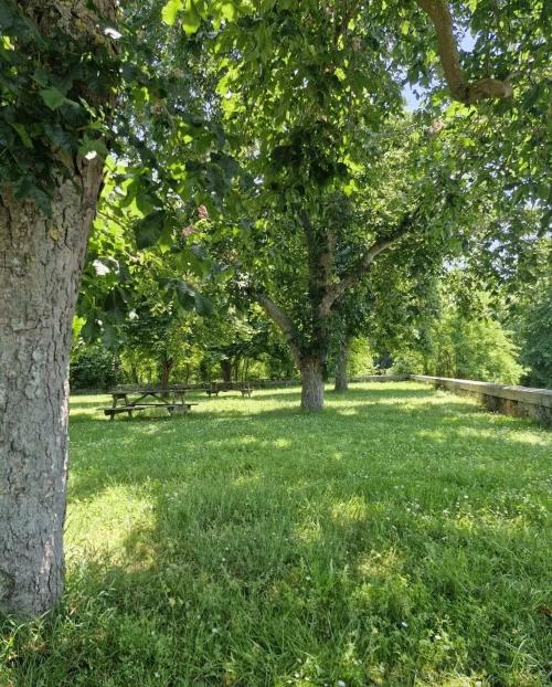 Photo de Daumazan-sur-Arize